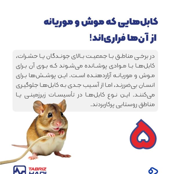 7 نکته جالب درباره سیم و کابل که نمی دانستید! 10 کابلهای ضد جوندگان و ضد موریانه